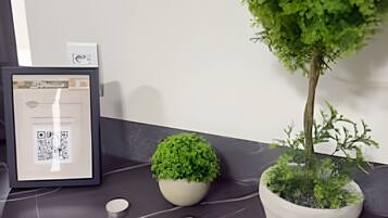 Estúdio clássico | Parte interna