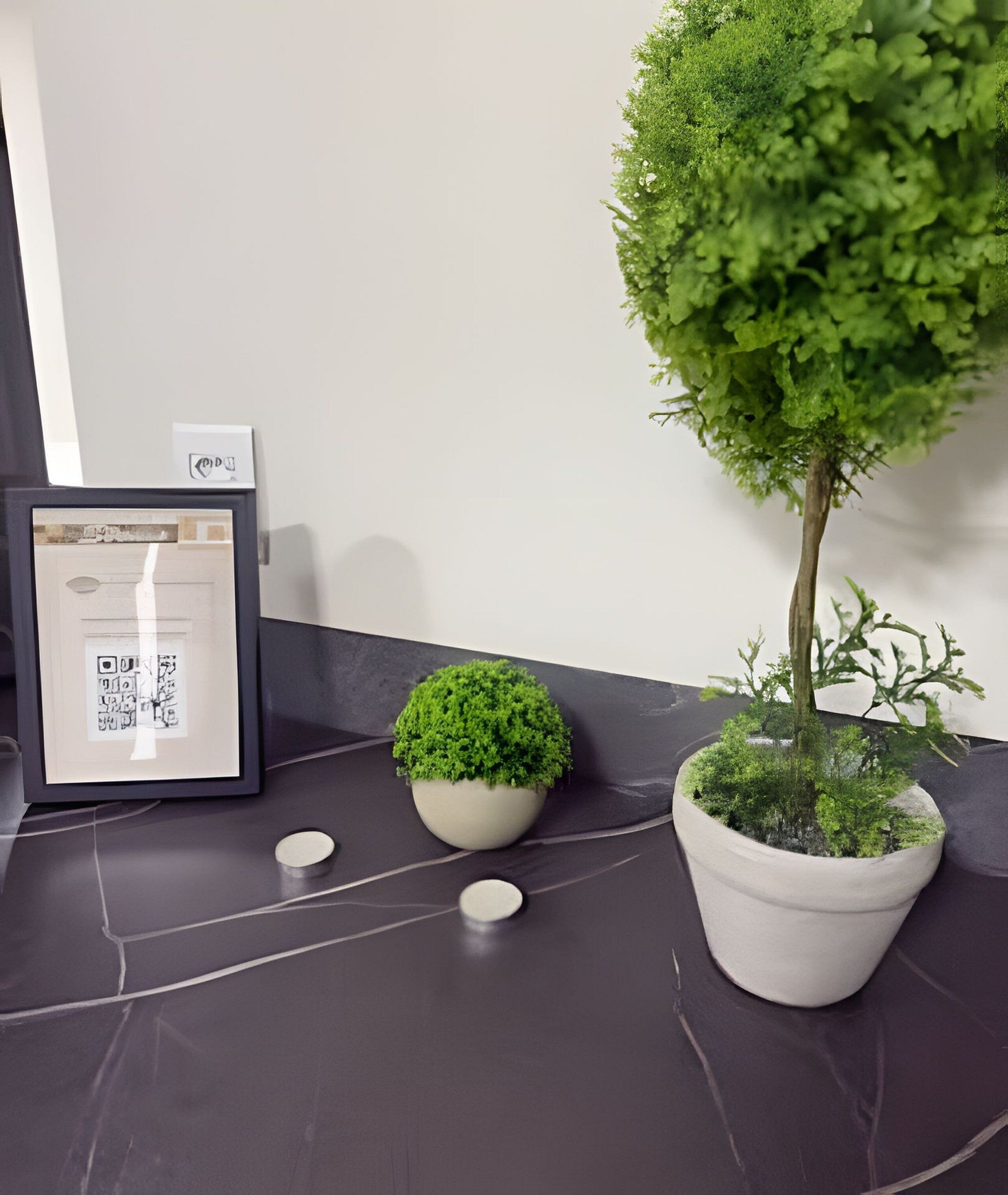 A potted plant, a framed picture, and a small round object on a dark tiled floor.