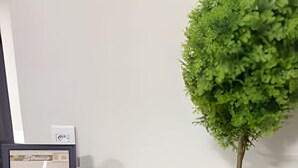 A potted plant, a framed picture, and a small round object on a dark tiled floor. - Studios Jocatita (Cuiabá)