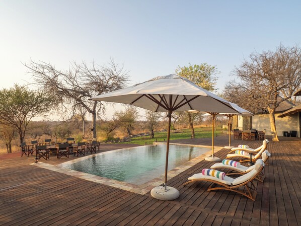 Outdoor pool, pool umbrellas, sun loungers - Tintswalo Scops Rest (Hoedspruit)