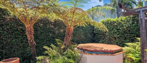 Área da propriedade