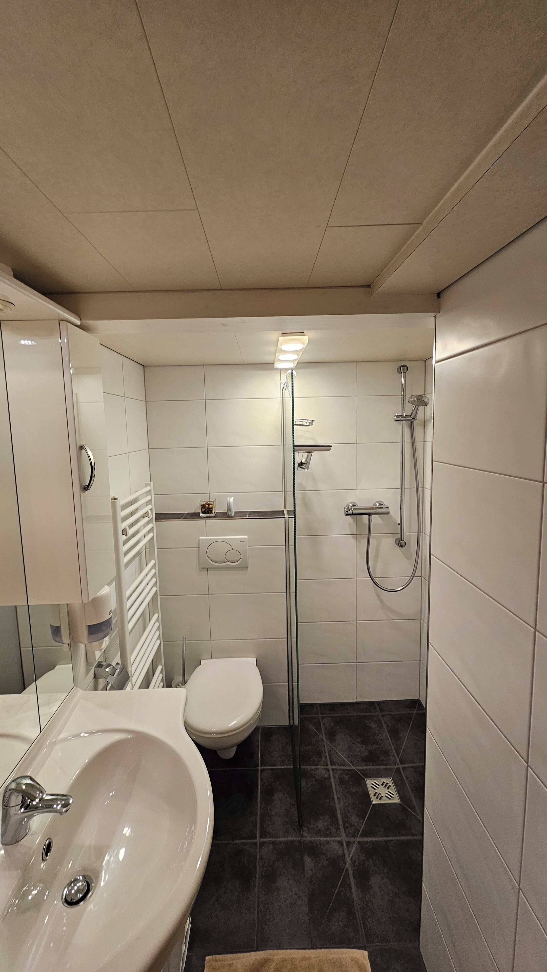 Kondominium Keluarga, 4 kamar tidur, pemandangan gunung | Kamar mandi | Pengering rambut dan tisu toilet