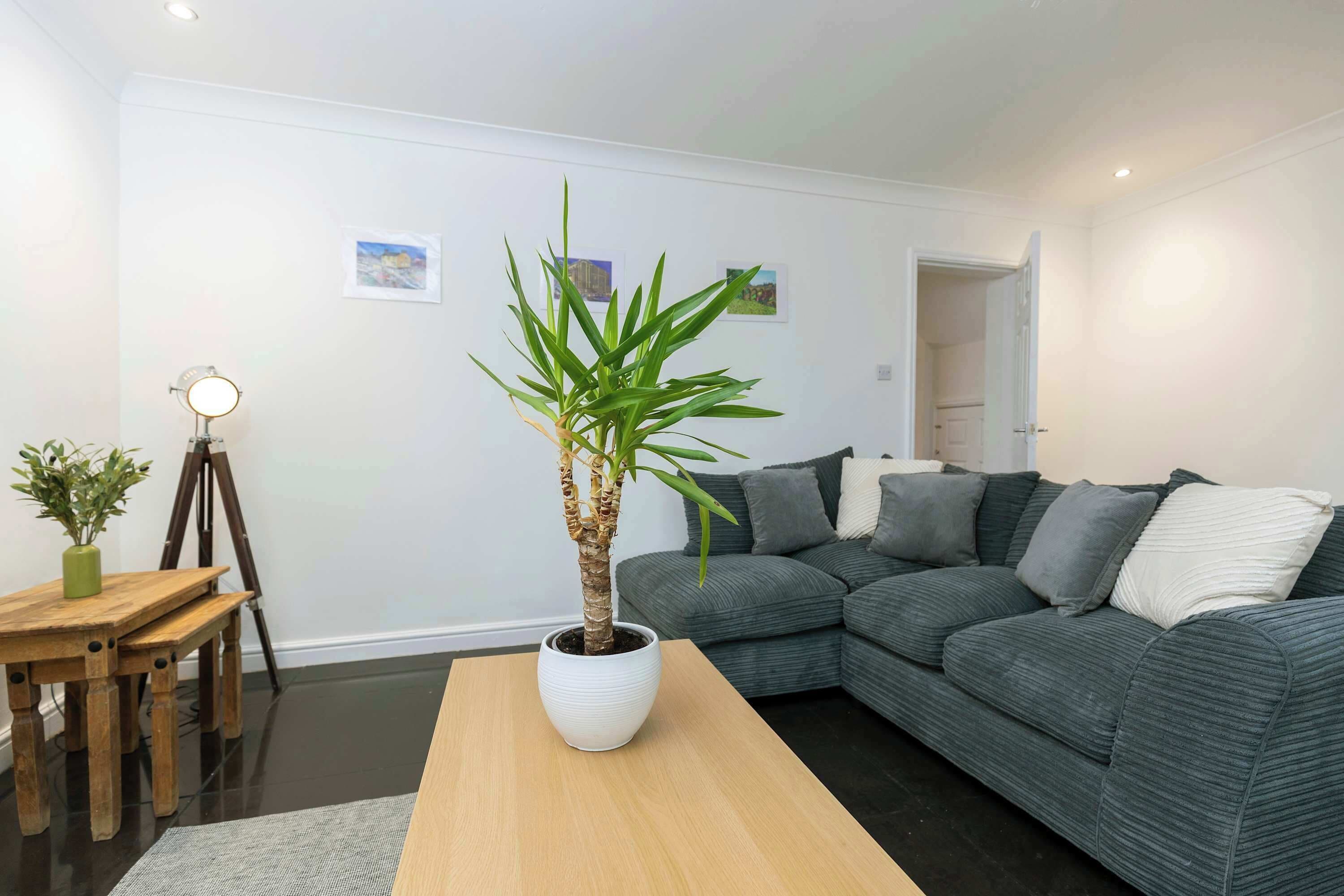 A modern living room with a grey sofa, a wooden coffee table, and a potted plant.