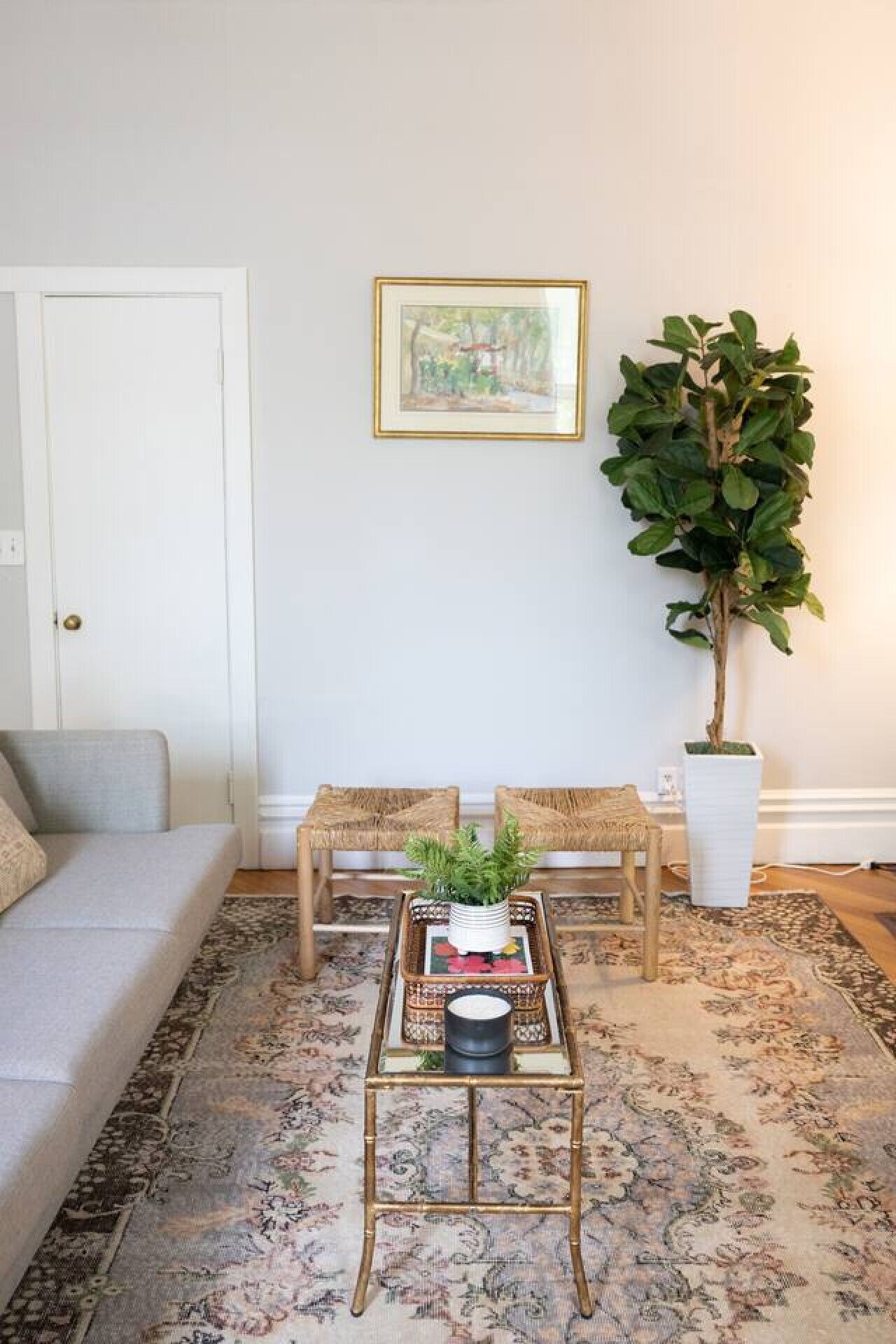 A living room with a sofa, two wooden chairs, a coffee table with books and a plant, a large potted plant, and a framed picture on the wall.