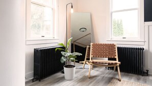 A corner room with a radiator, a potted plant, a wooden chair, and a large mirror on the wall. - Peaceful, Artsy North Troy Riverview Apt (Troy)