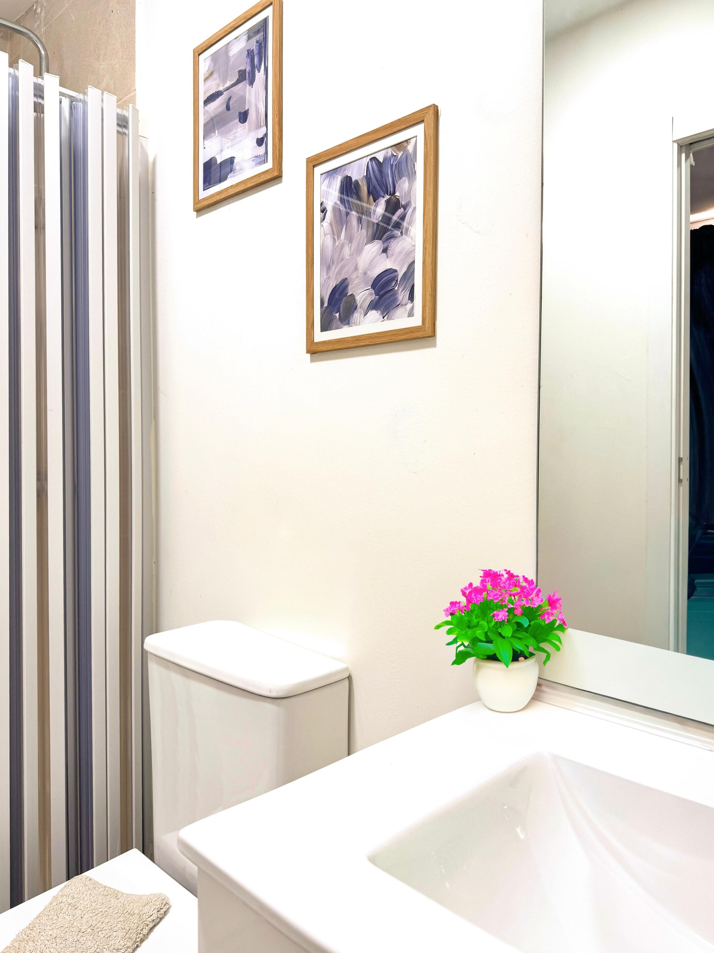 Ducha, secador de pelo, toallas y jabón