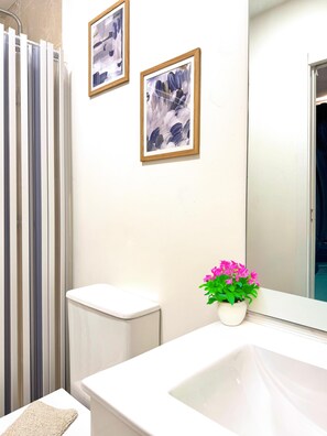 Douche, sèche-cheveux, serviettes fournies, savon