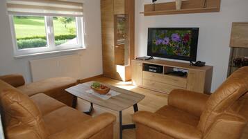 TV, DVD player, ping pong, stereo