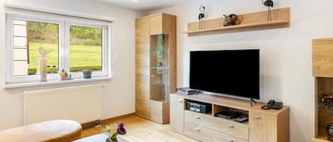 Televisie, een dvd-speler, een tafeltennistafel en een stereo