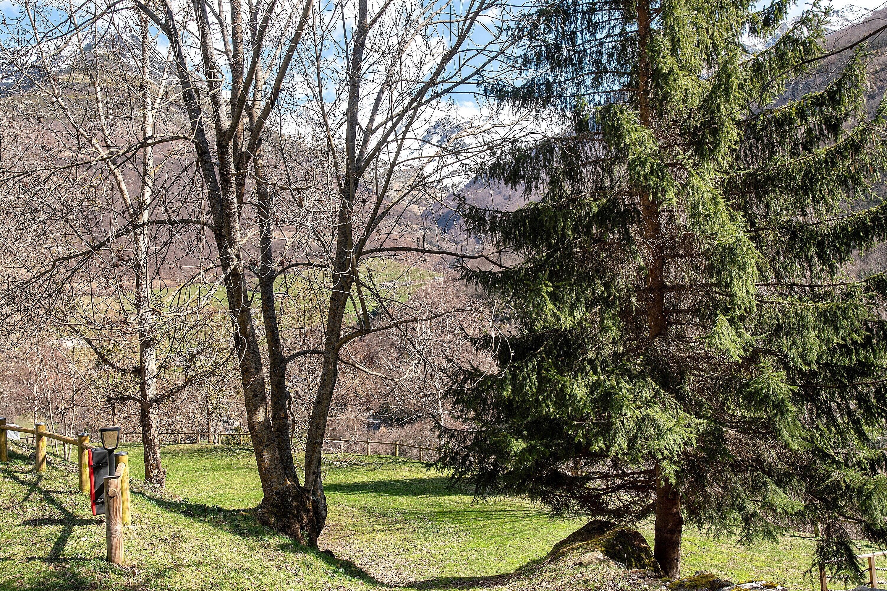 A natural landscape with trees, a grassy area, and a wooden fence.