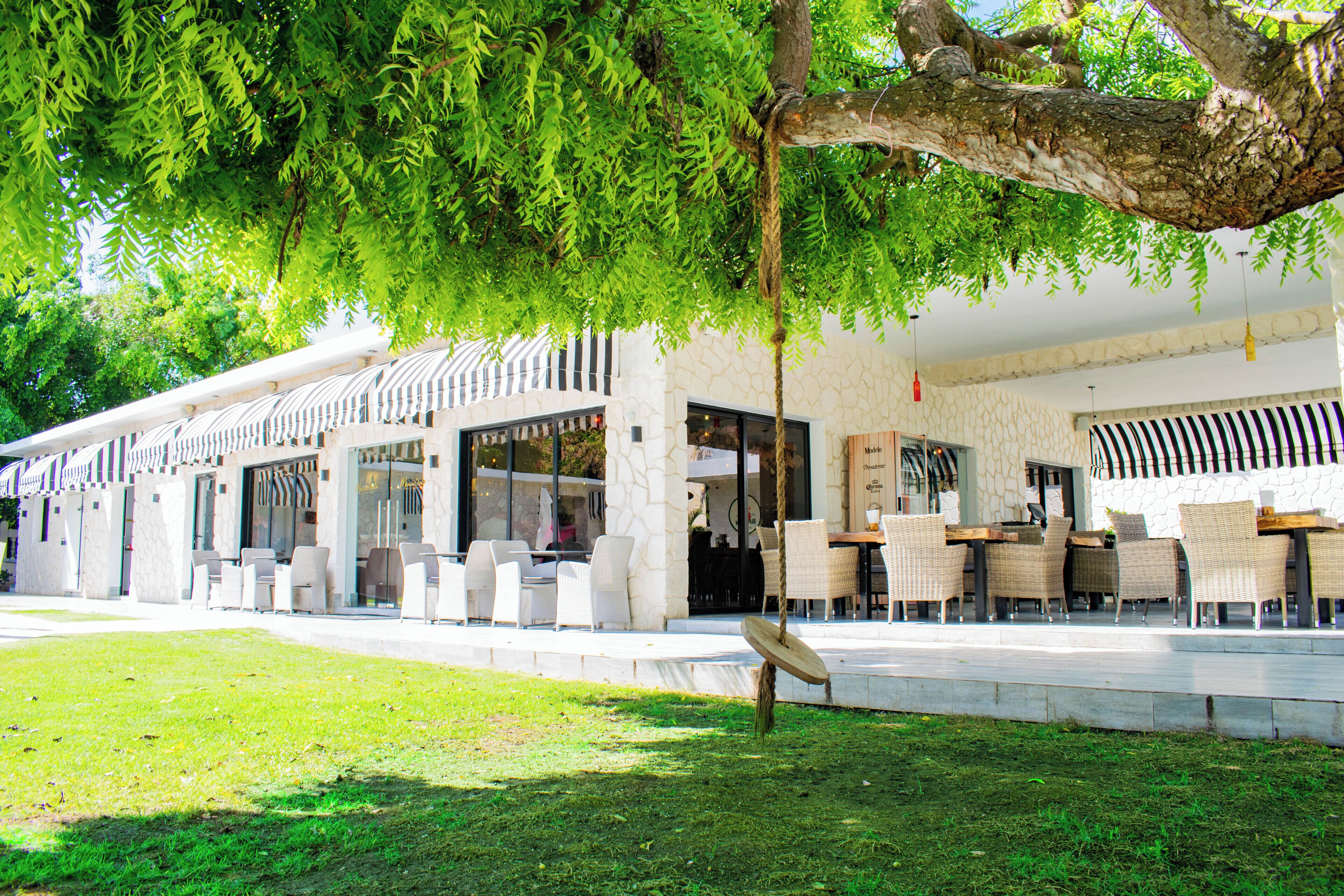 Un espace extérieur aménagé avec des chaises et des tables blanches, un mur en pierre et un arbre qui offre de l’ombre.