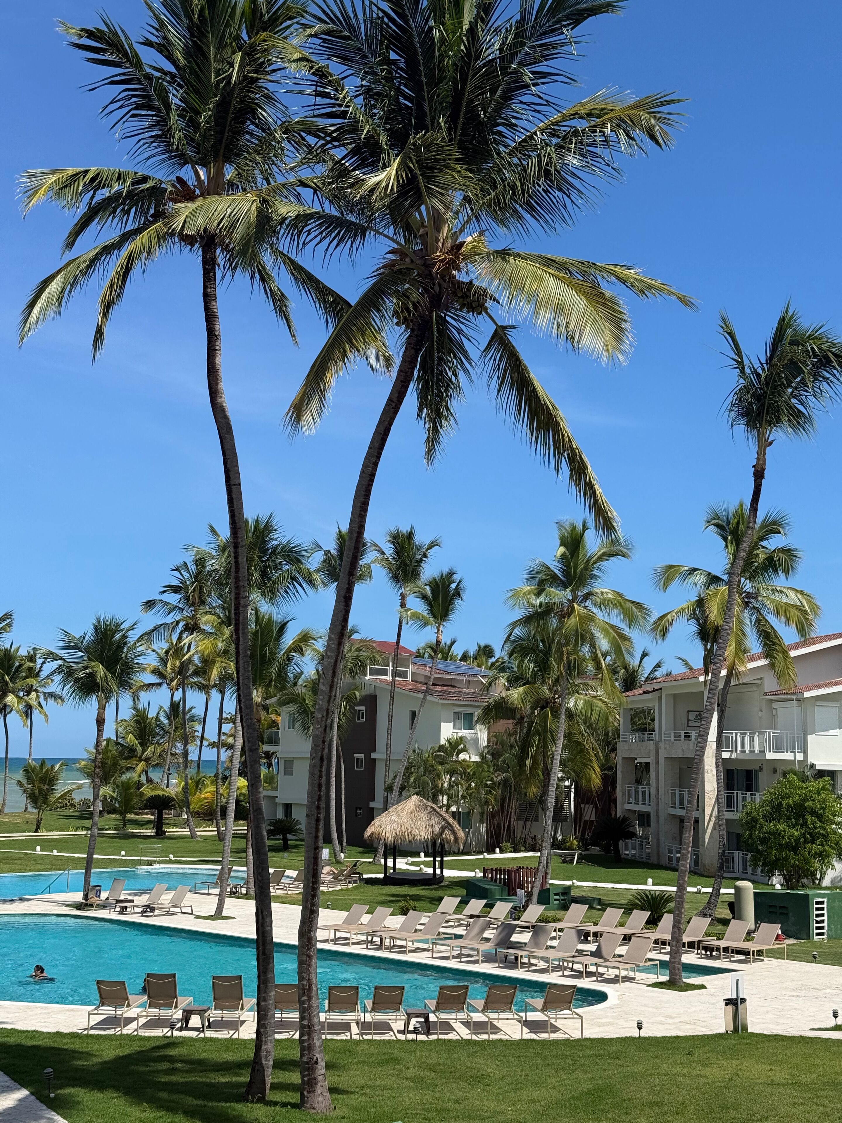 Un área de piscina con sillones de descanso, palmeras y un edificio con balcones.