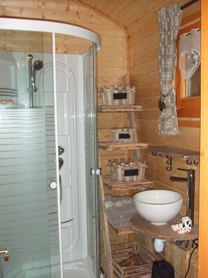 Regadera y secadora de cabello 