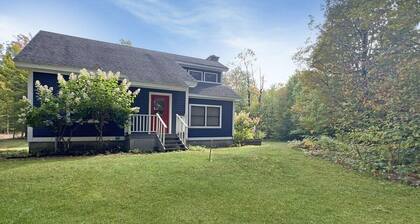 Hidden Kingdom in Plymouth