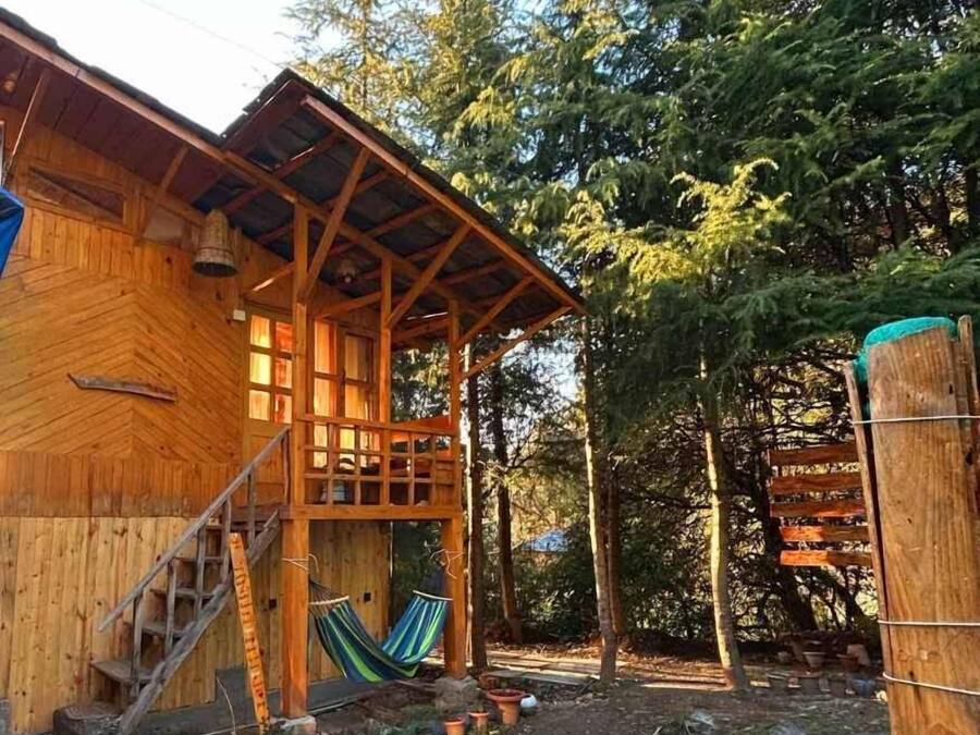 Una cabaña de madera con un porche, una hamaca y un sendero de piedra.