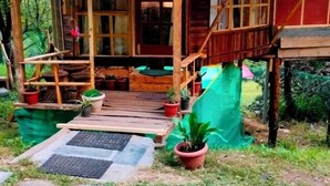 A wooden cabin with a porch, a staircase, and potted plants. - Camp Oak View (Baijnath)