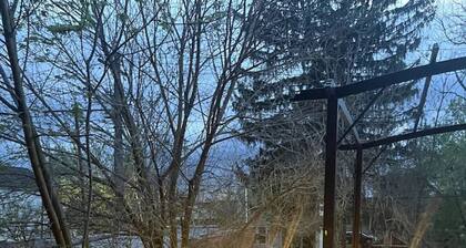 Chic Brownstone in Historic Troy w/Furnished Deck