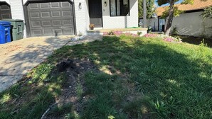 Ein Wohnhaus mit Garage, Vorgarten mit Gras und Blumen, sowie ein Baum.