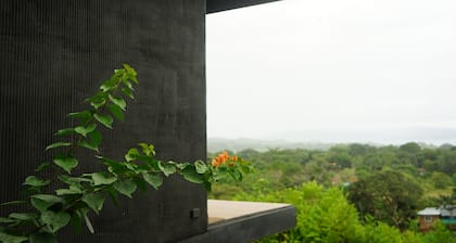 SurfAsana Lodge