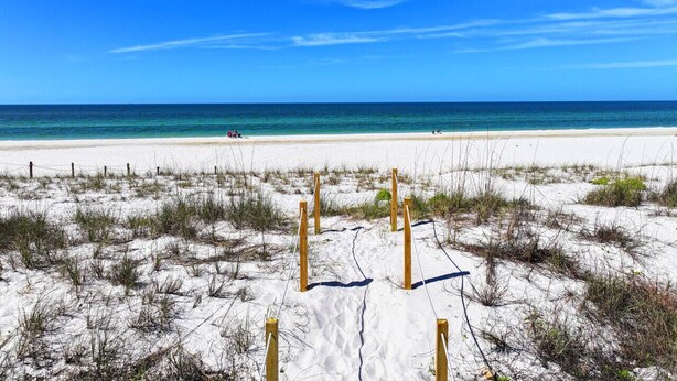 Ein Strand mit weißem Sand, spärlicher Vegetation und blauem, wolkenlosem Himmel.