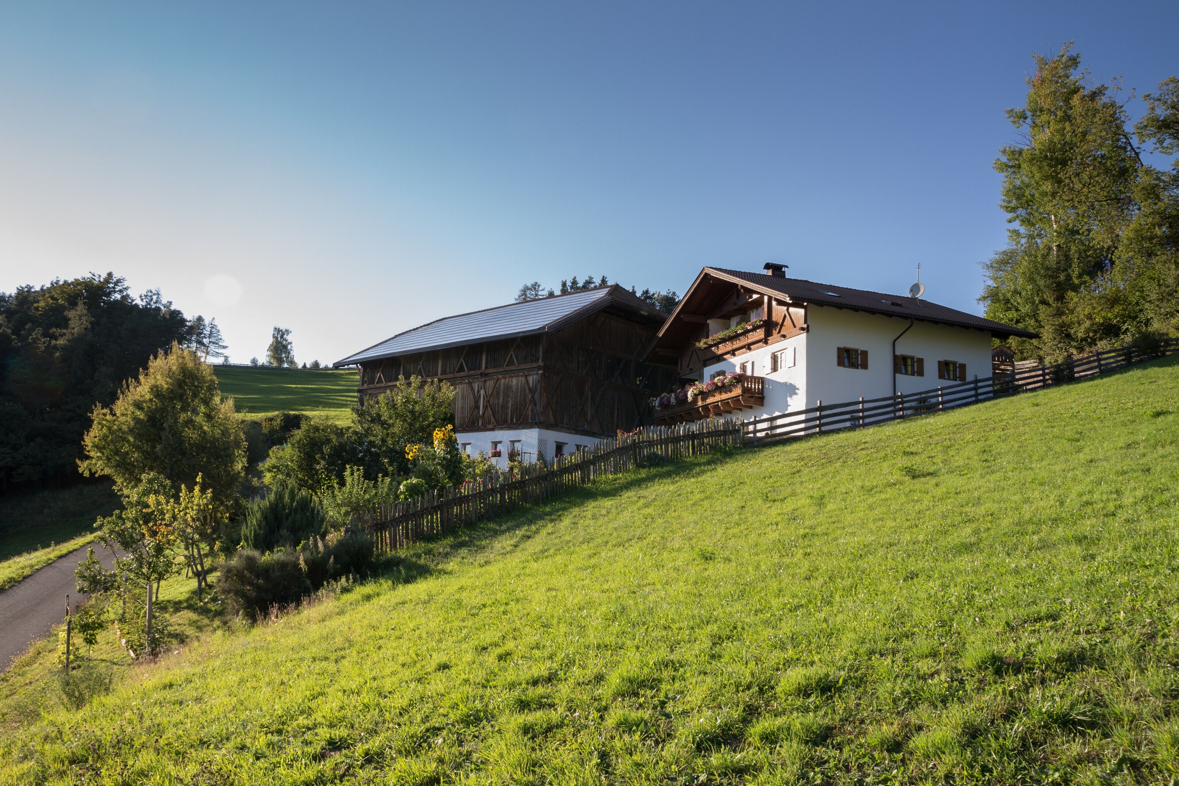 Esterni