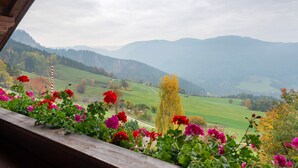 A view from a window overlooking a valley with mountains, a wooden railing, and flowering plants.