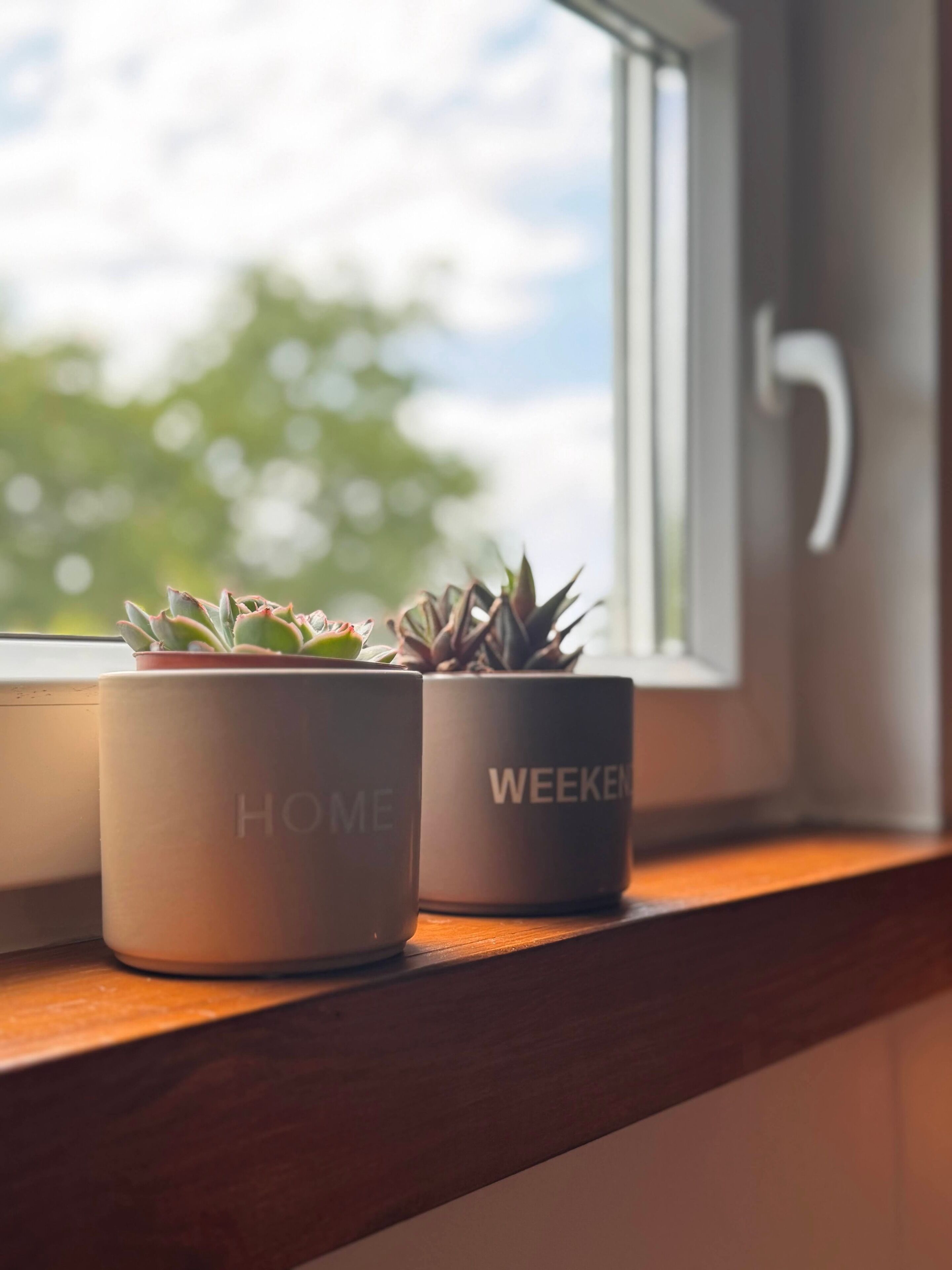 Two potted plants on a windowsill with "HOME" and "WEEKEND" labels.