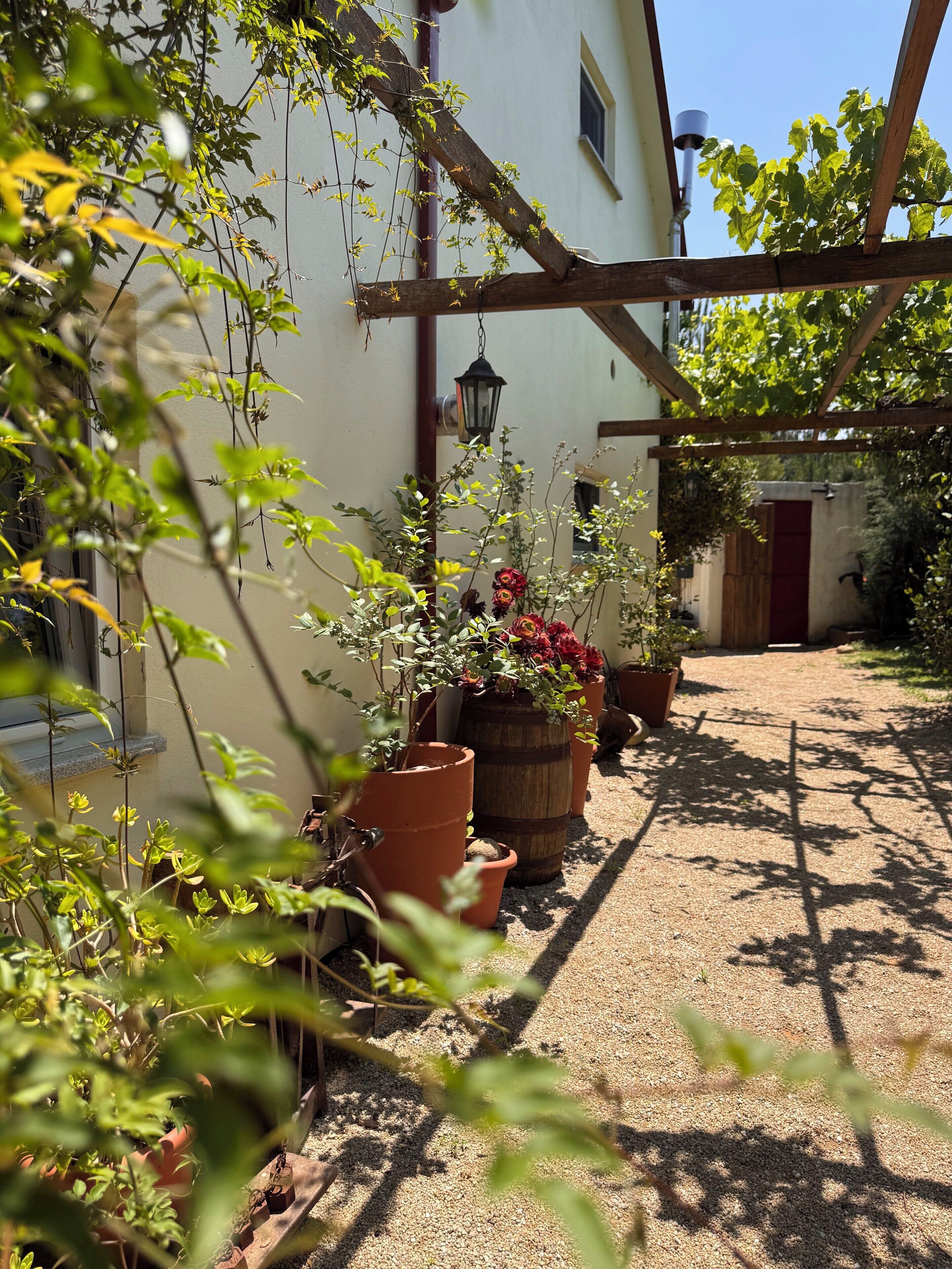 Un jardín con plantas en macetas y una pérgola.