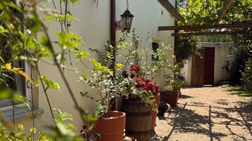 Un jardín con plantas en macetas y una pérgola.