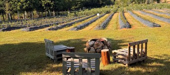 Quinta Vale Salgueiro