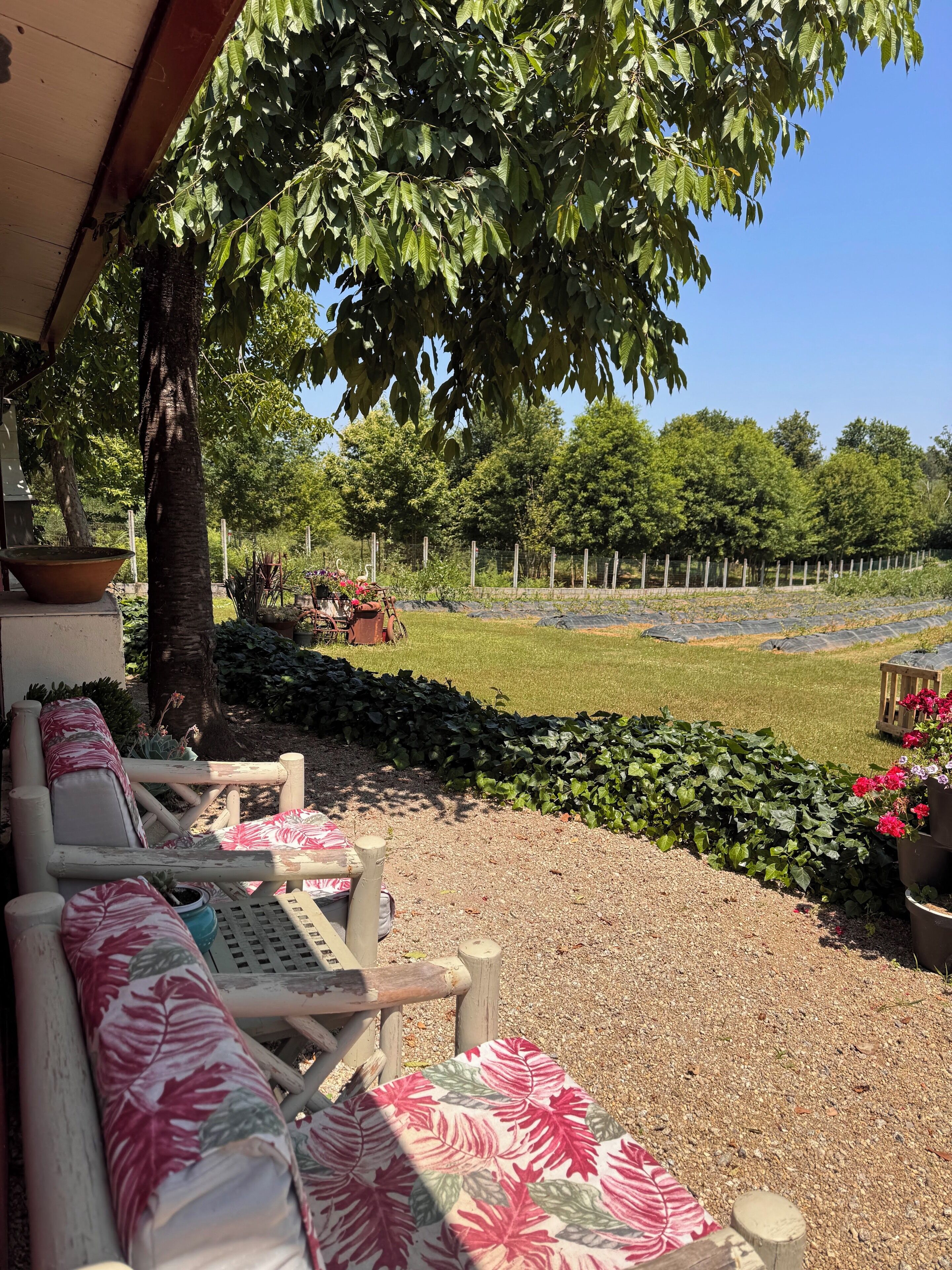Ein überdachter Außenbereich mit Blick auf einen Garten und Bäume.