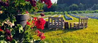 Quinta Vale Salgueiro