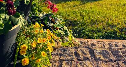 Quinta Vale Salgueiro