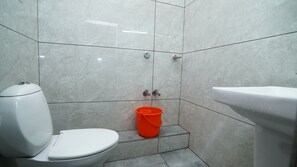 Regadera, toallas, jabón, shampoo 