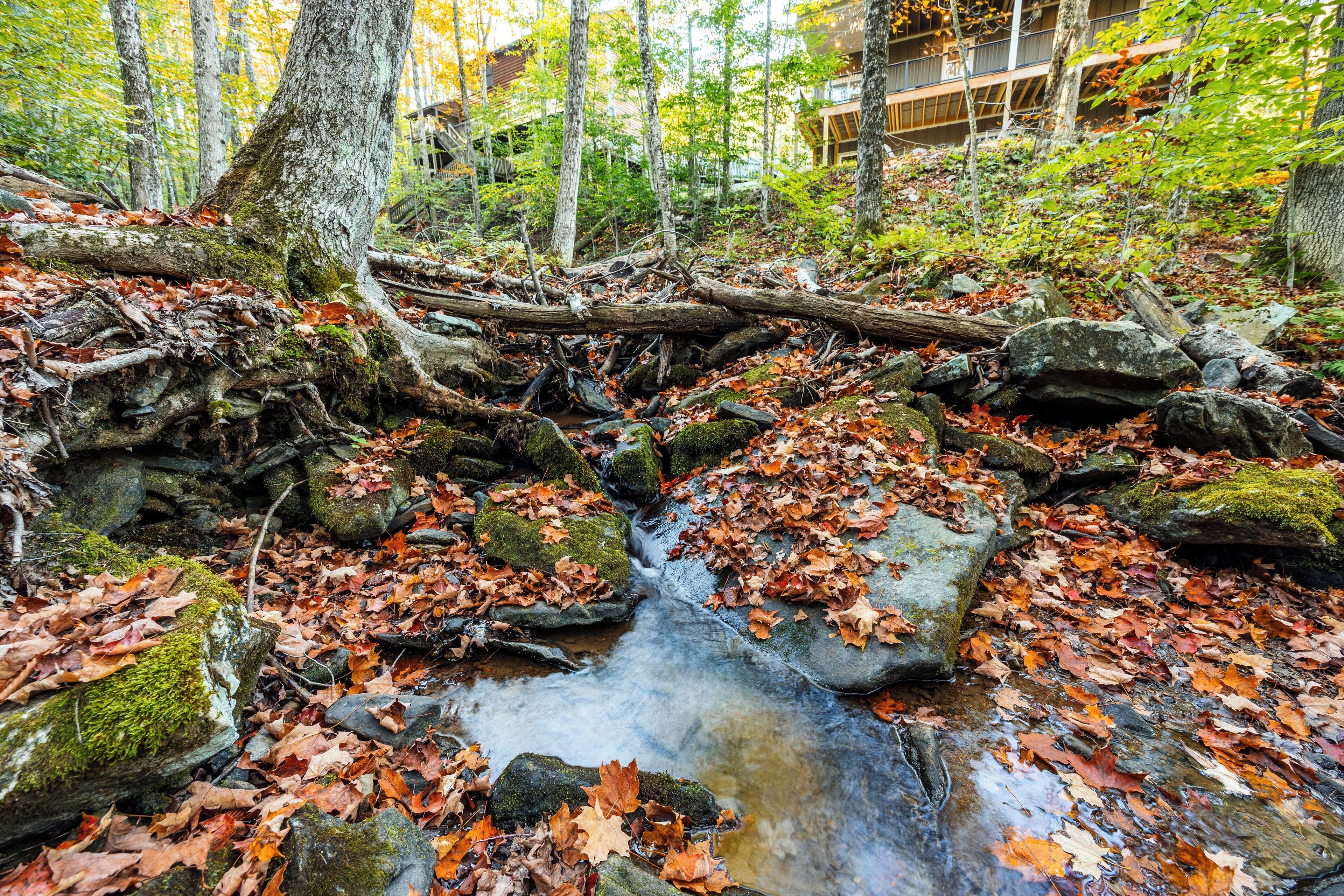 Un ruisseau de forêt, avec des rochers et des feuilles mortes, entouré d’arbres et avec un bâtiment visible au loin.