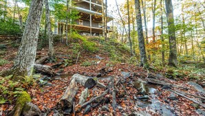 A modern multi-story building surrounded by a forested area with a stream and fallen leaves. - NF72: Brand New, Creekside home, 3 King Suites, Hot Tub. Firepit (Davis)