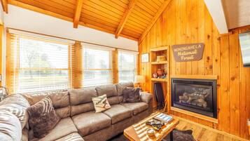 智能电视、壁炉