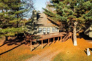 Exterior - BR40 Cozy Cabin, Pets ok, centrally located to skiing/towns (Davis)