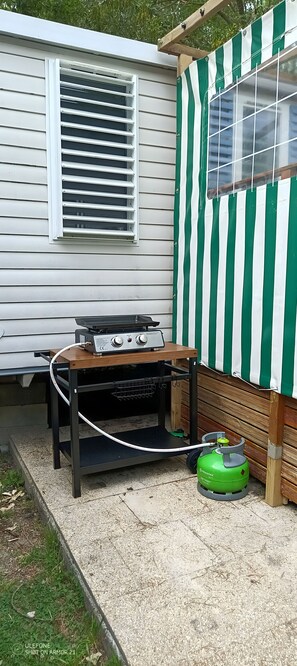 Terras