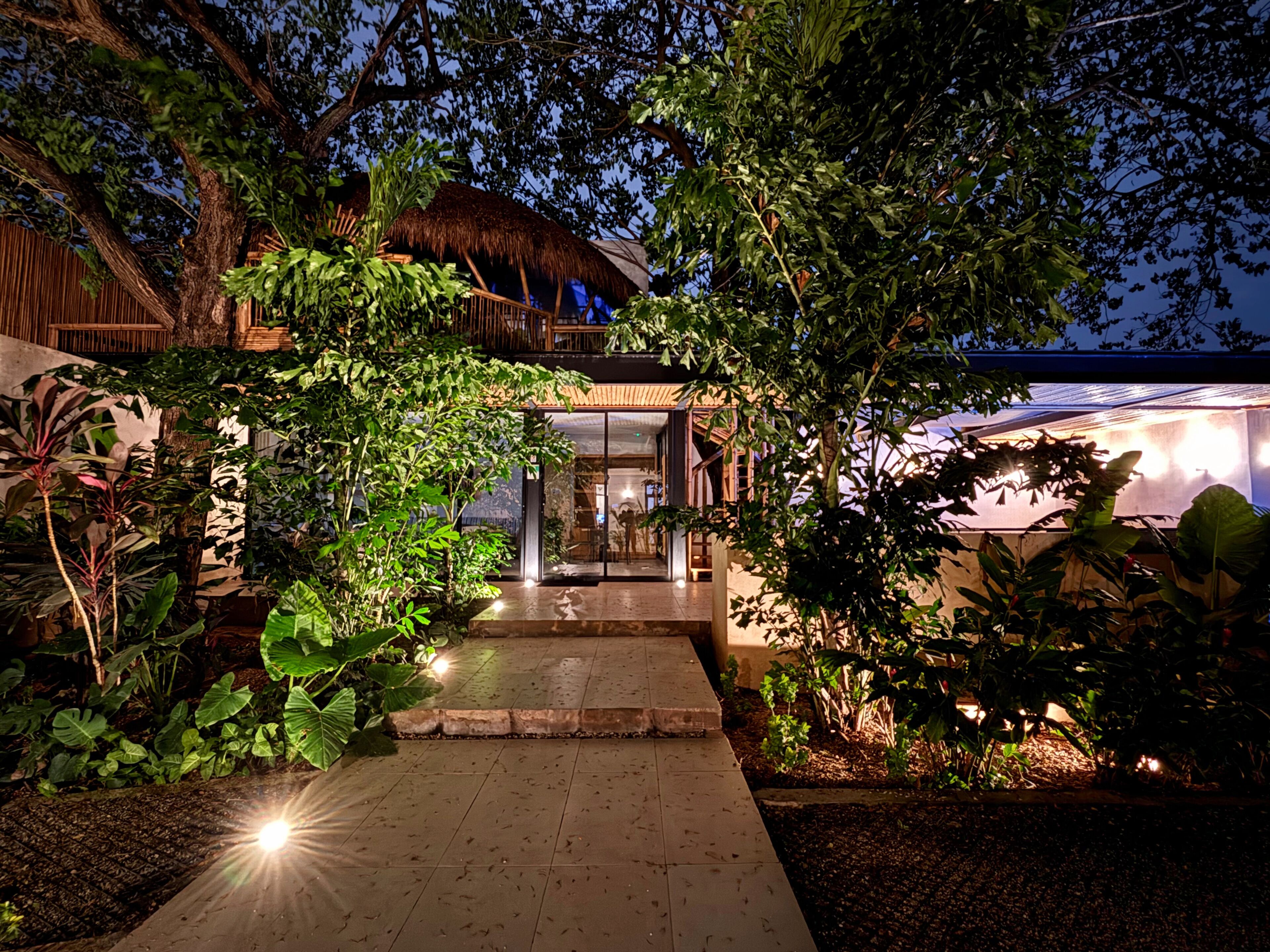 A modern building with a thatched roof, surrounded by lush greenery and a paved walkway leading to the entrance.