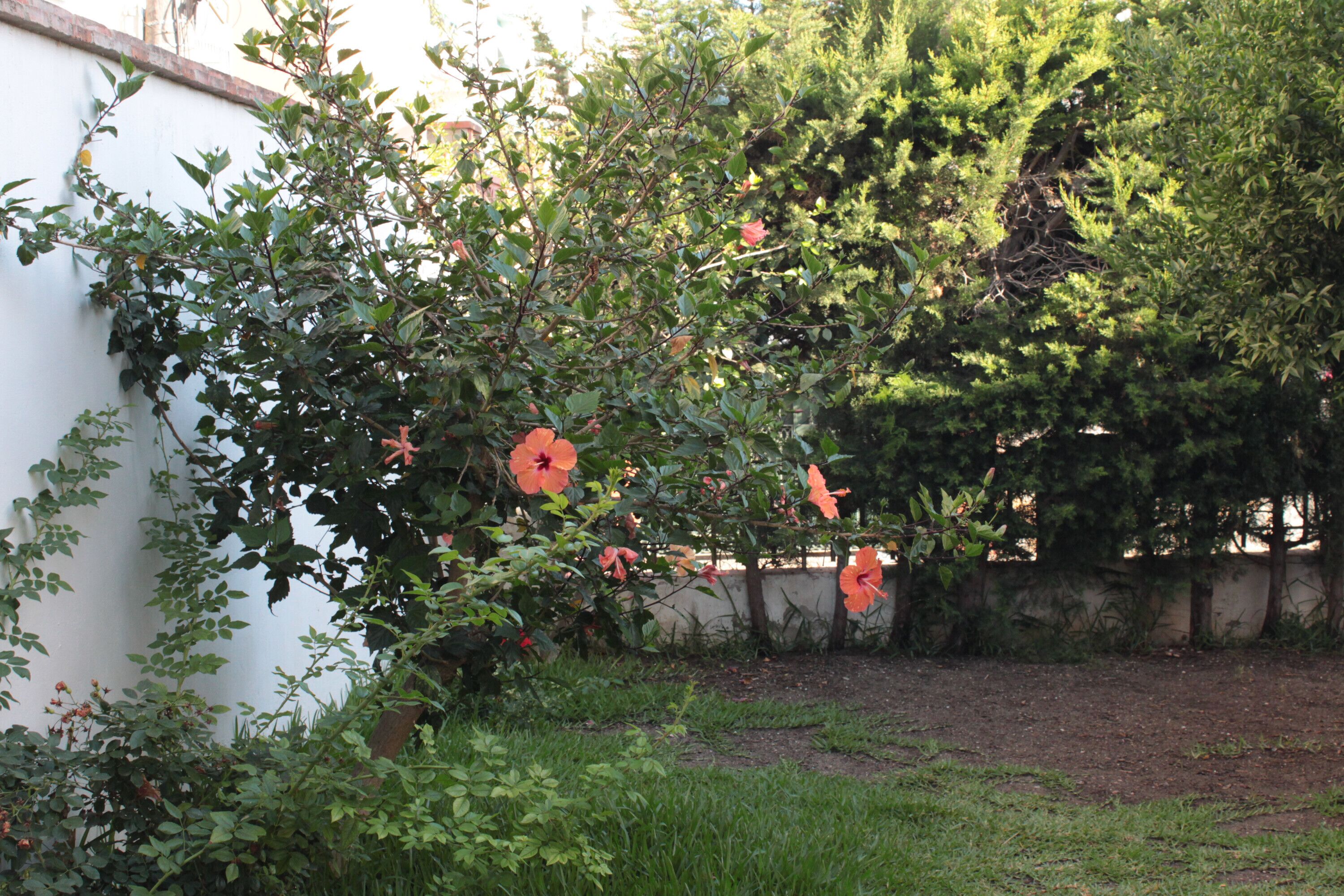 Terrein van de accommodatie