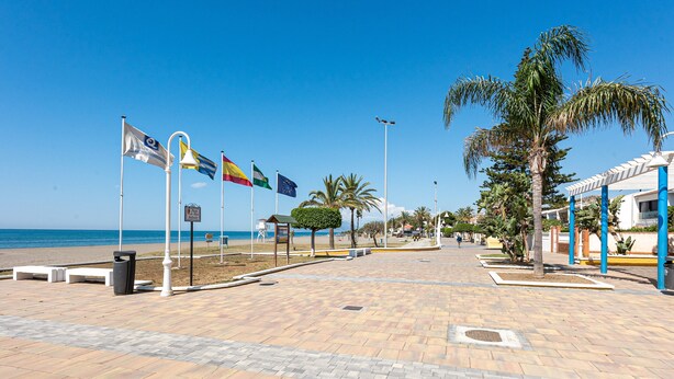 A paved walkway with flags, palm trees, and a beach in the background.