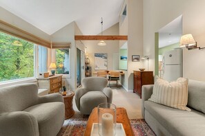 TV, fireplace, books