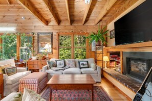 Televisión y chimenea 