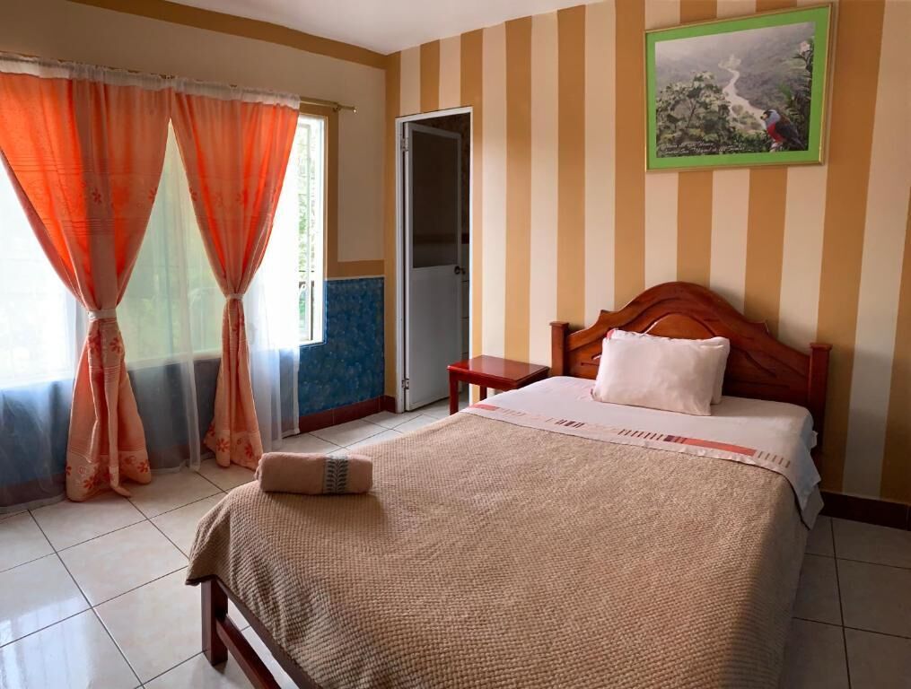A hotel room with a bed, curtains, a painting, and a door.