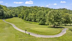 Ein Golfplatz mit gewundenem Weg, üppigem Grün und dichter Waldlandschaft im Hintergrund.
