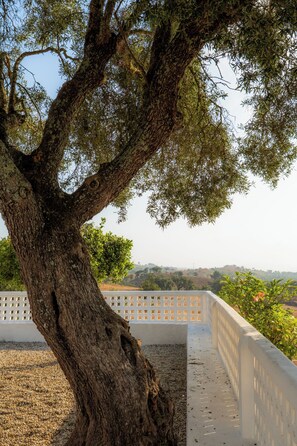 Garden - Herdade do Carregouçal (Odemira)