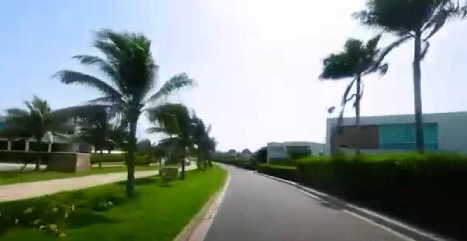 Una carretera sinuosa bordeada de palmeras con un edificio moderno al fondo.
