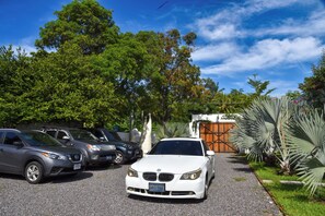 Free self-parking