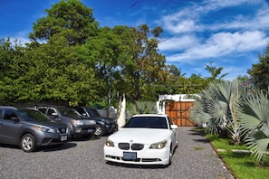 Free self-parking